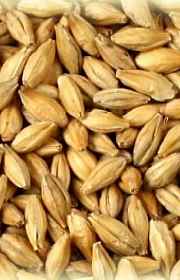 Comprar malte para cerveja artesanal Comprar malte para cerveja artesanal