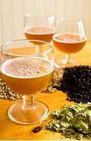 Insumos para cerveja artesanal sp Insumos para cerveja artesanal sp